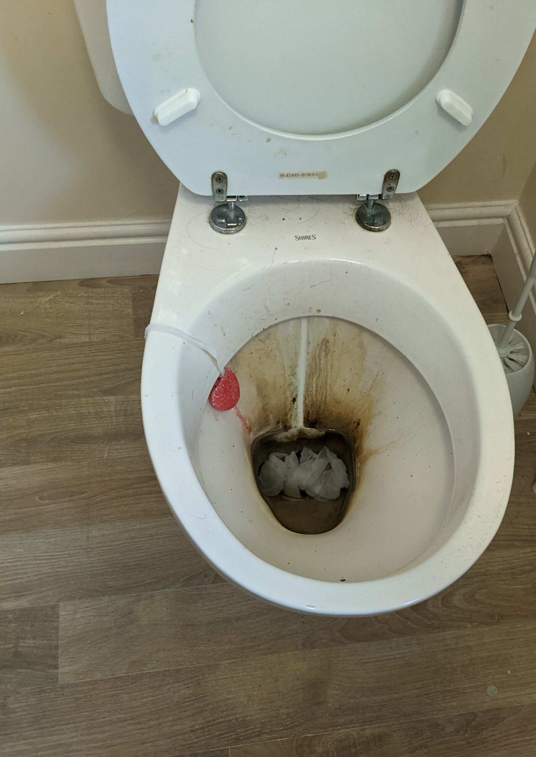 Dirty toilet before clean